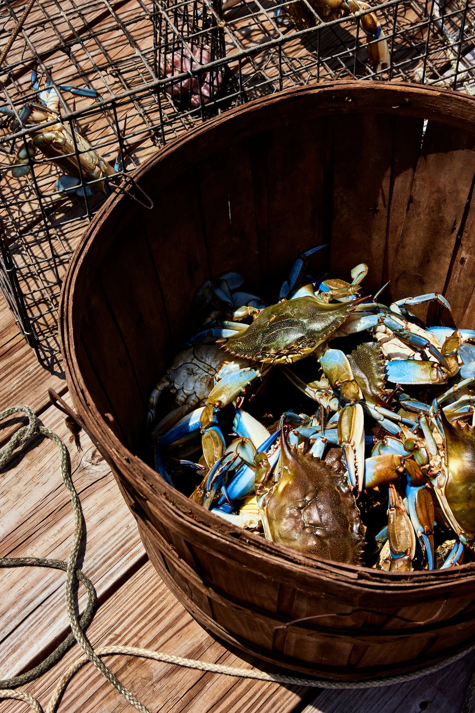 Crab Feast_Crabbing_Eater_2024-07-26_TSUCALAS_1876.jpg