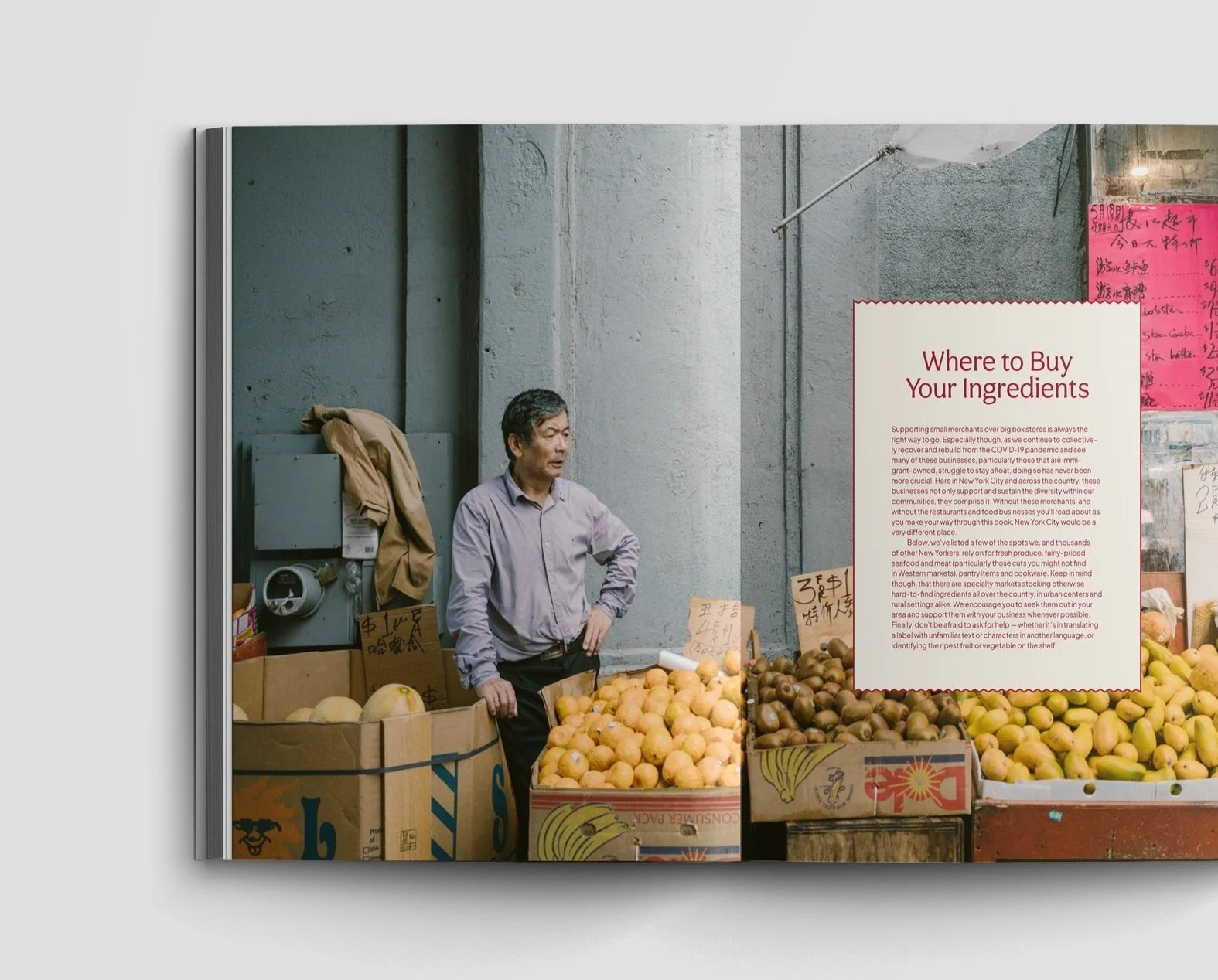 SCL_Cookbook_Interior-Mock-Ups_5.jpg