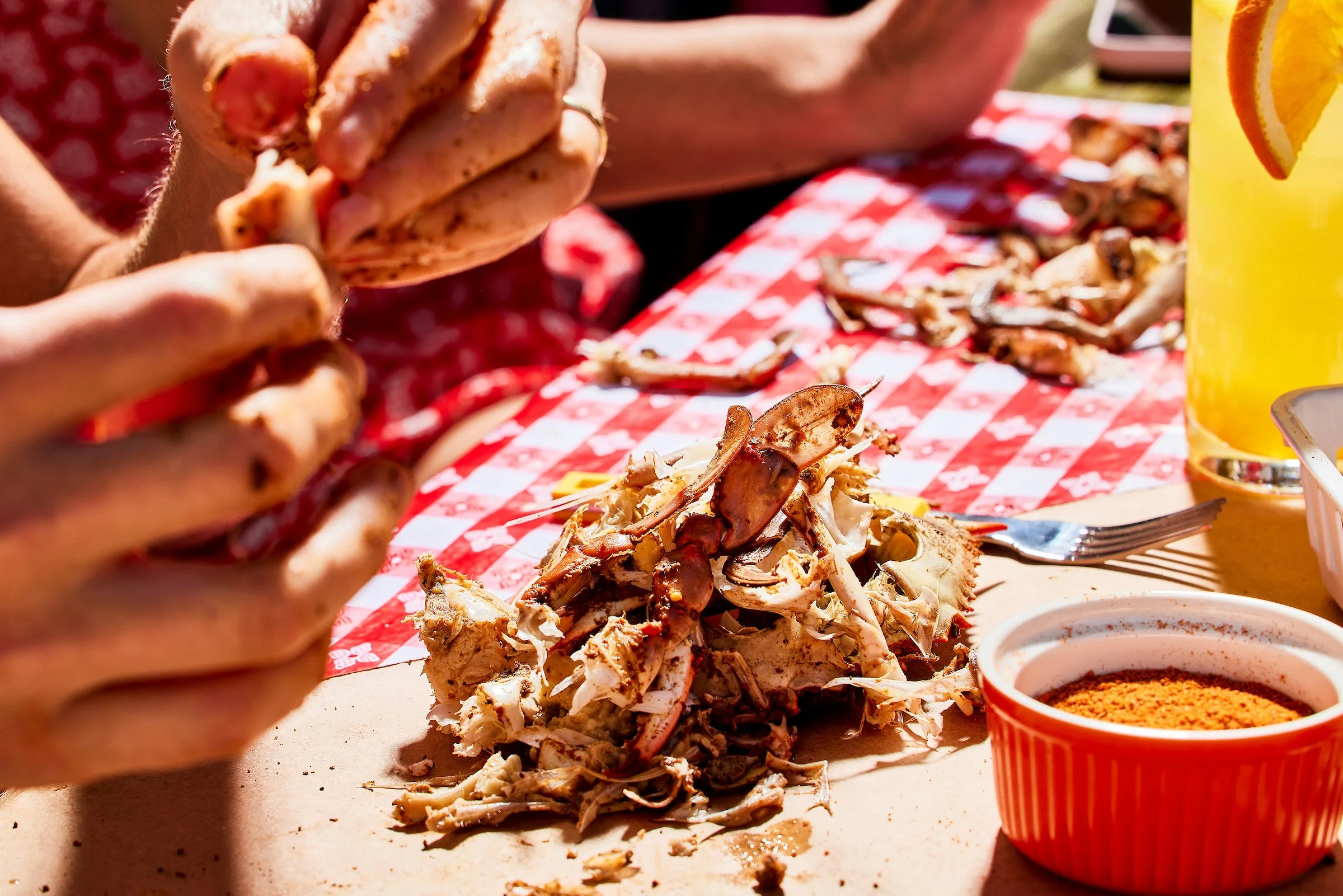 Crab Feast_Crabs_Eater_2024-07-26_TSUCALAS_0527.jpg