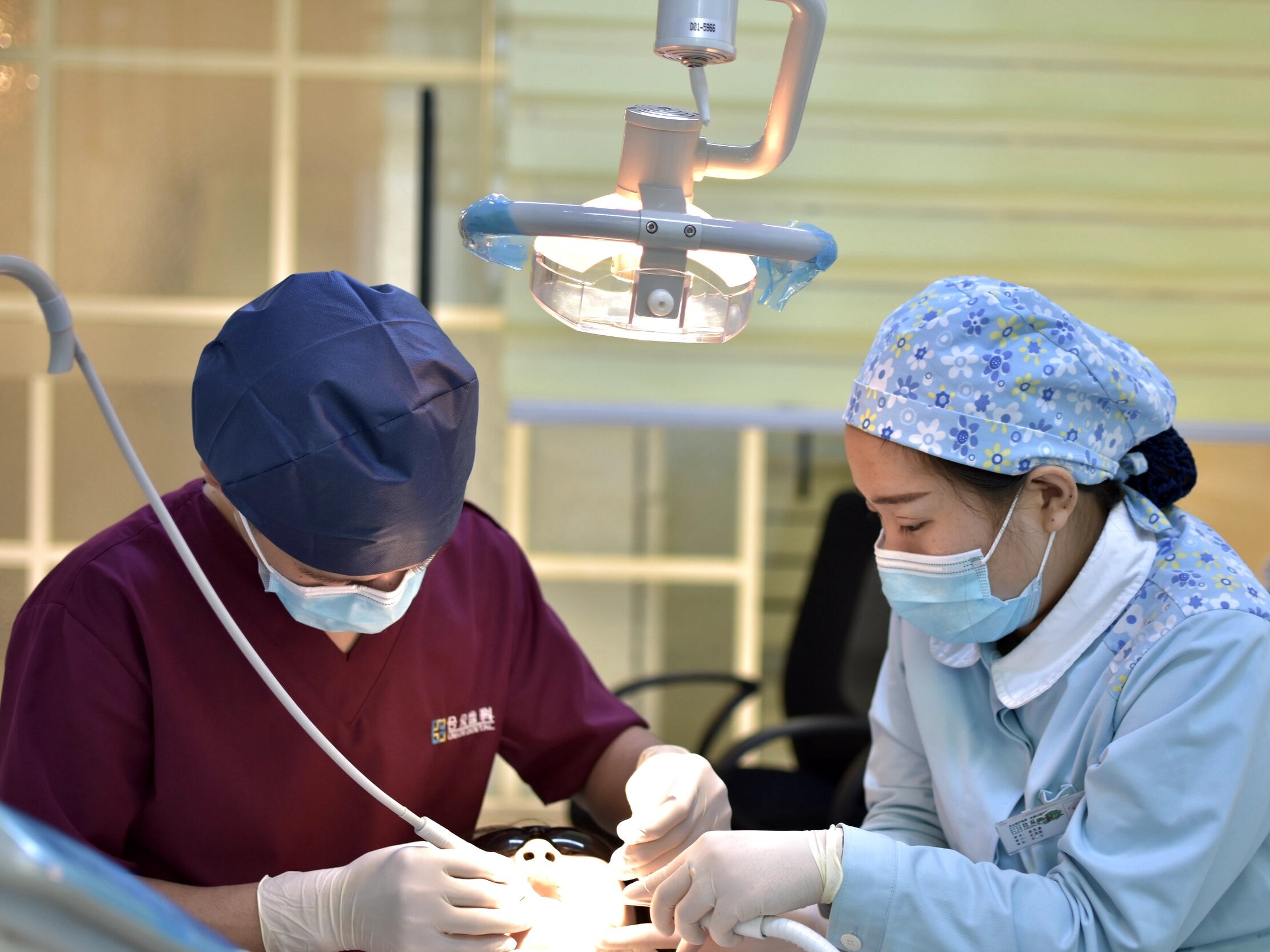 How Does Bone Grafting Work?