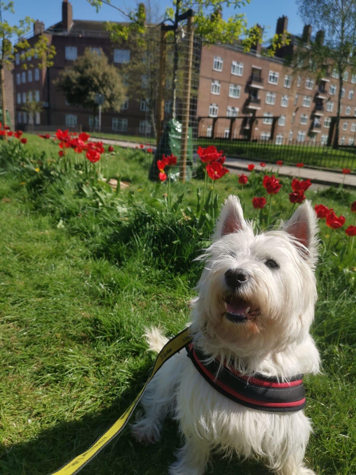 Lola