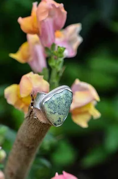 mesala1 (18 of 26).jpeg