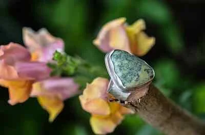 mesala1 (17 of 26).jpeg