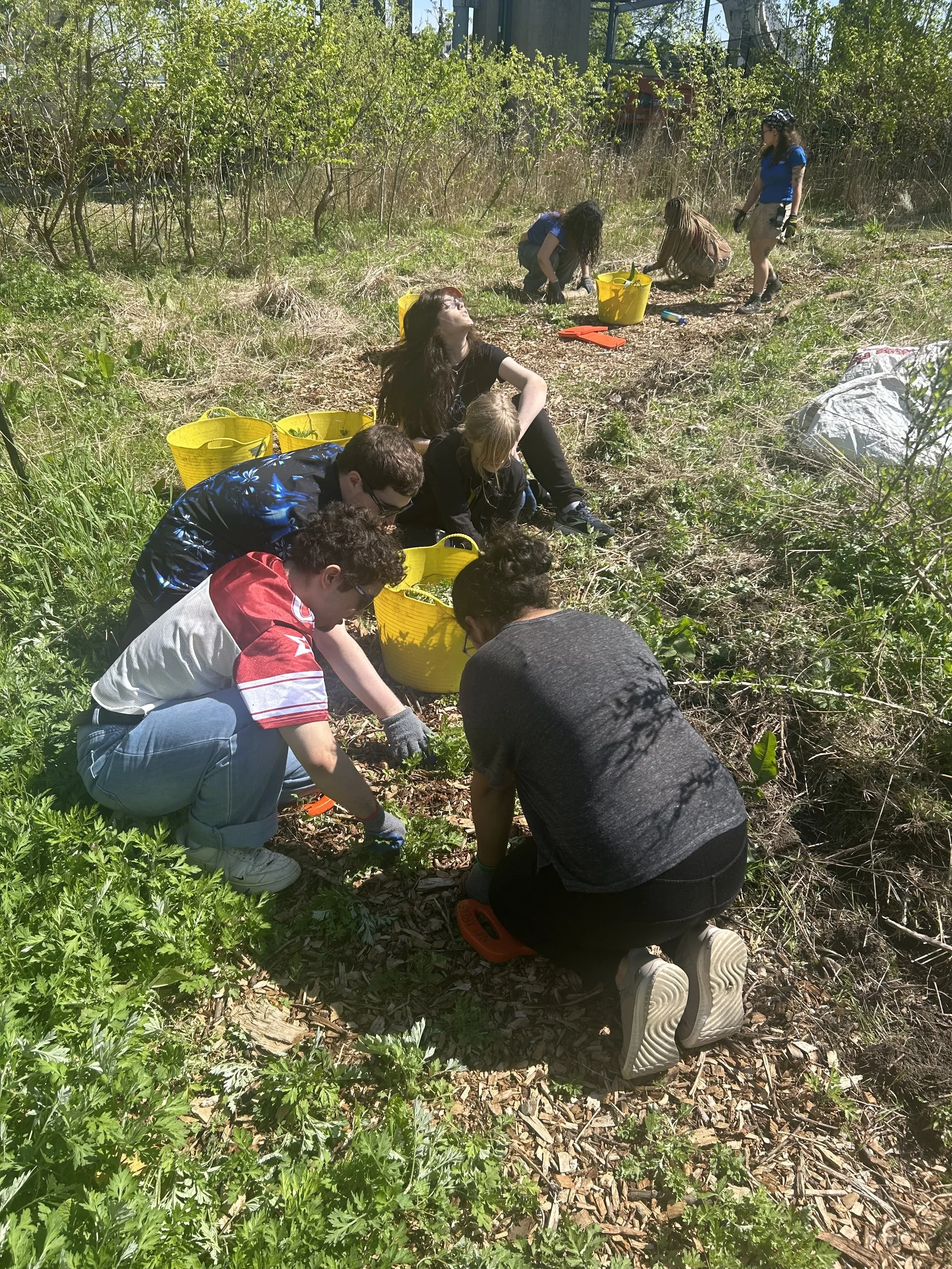 Randall's Island Volunteer Trip