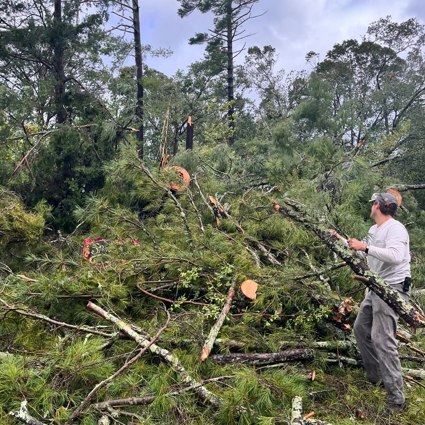 Today (Tuesday) is the first time I&rsquo;ve accessed the internet and it&rsquo;s crushing, almost too much to bare. I feel wildly grateful to be safe. 30+ trees fell on the land where we live and luckily they all missed the house (some by feet). It&