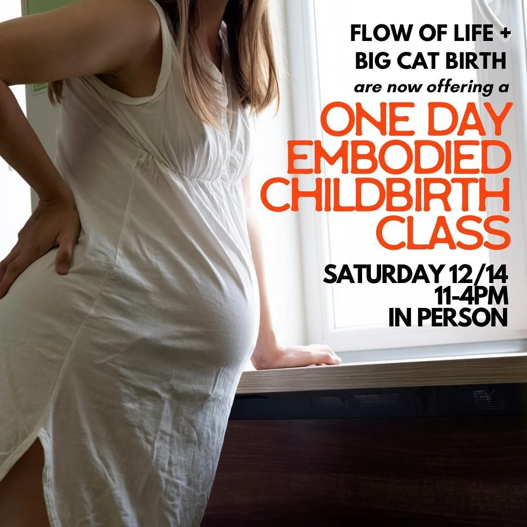 Are you looking for childbirth ed but crunched on time? Join our 1 day embodied childbirth education class! This class is designed to be fun, informative, interactive, and leave you feeling prepared for your upcoming birth. 

Saturday 12/14
11-4:00pm