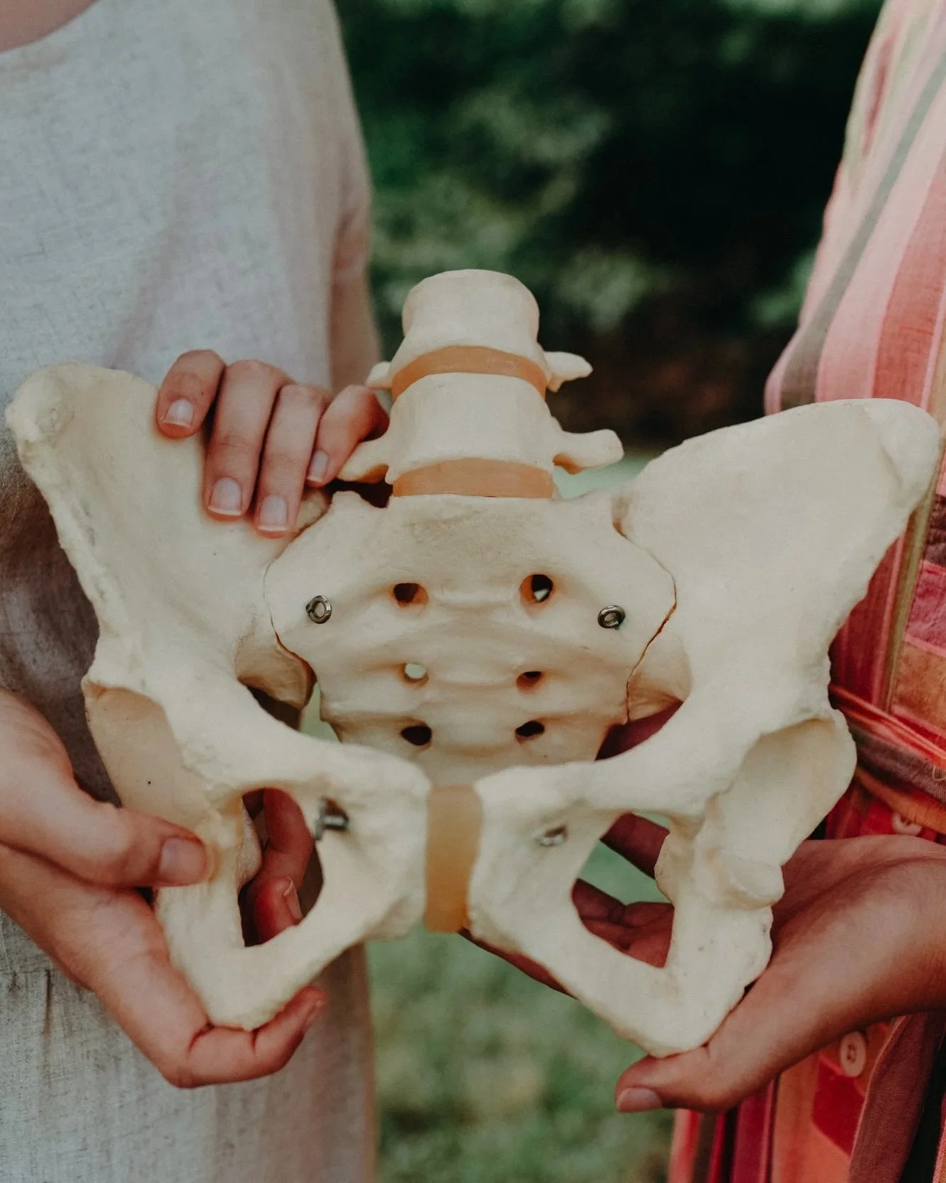 doula mentorship