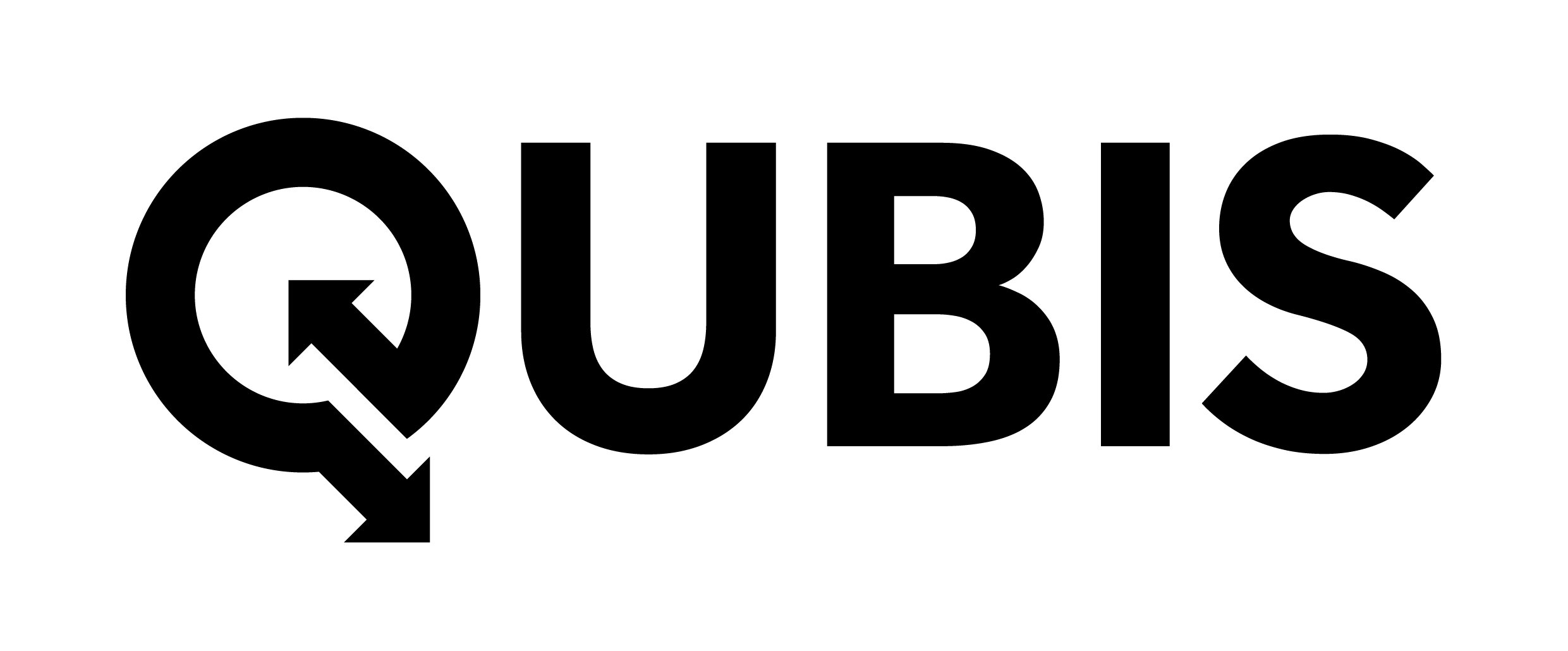 QUBIS_Logo_Black.jpg