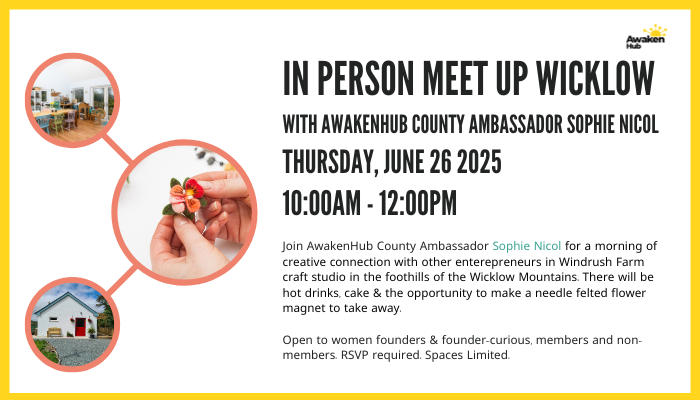 Start Up MeetUp & Felting Workshop - Wicklow