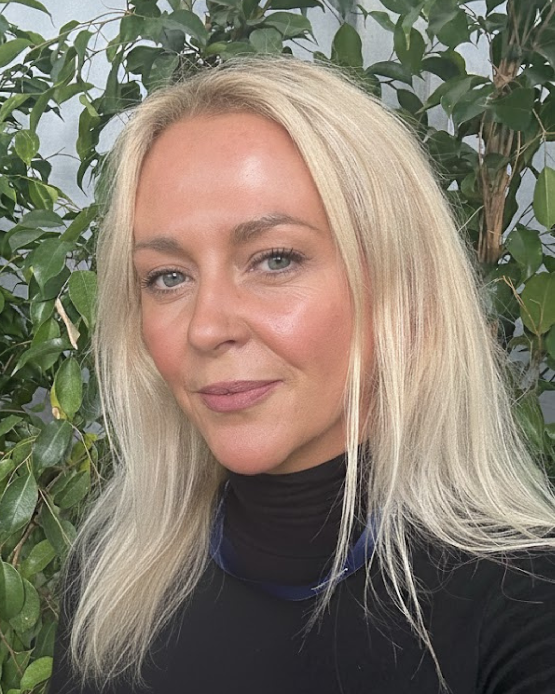 Victoria Finlay The MenoPal 