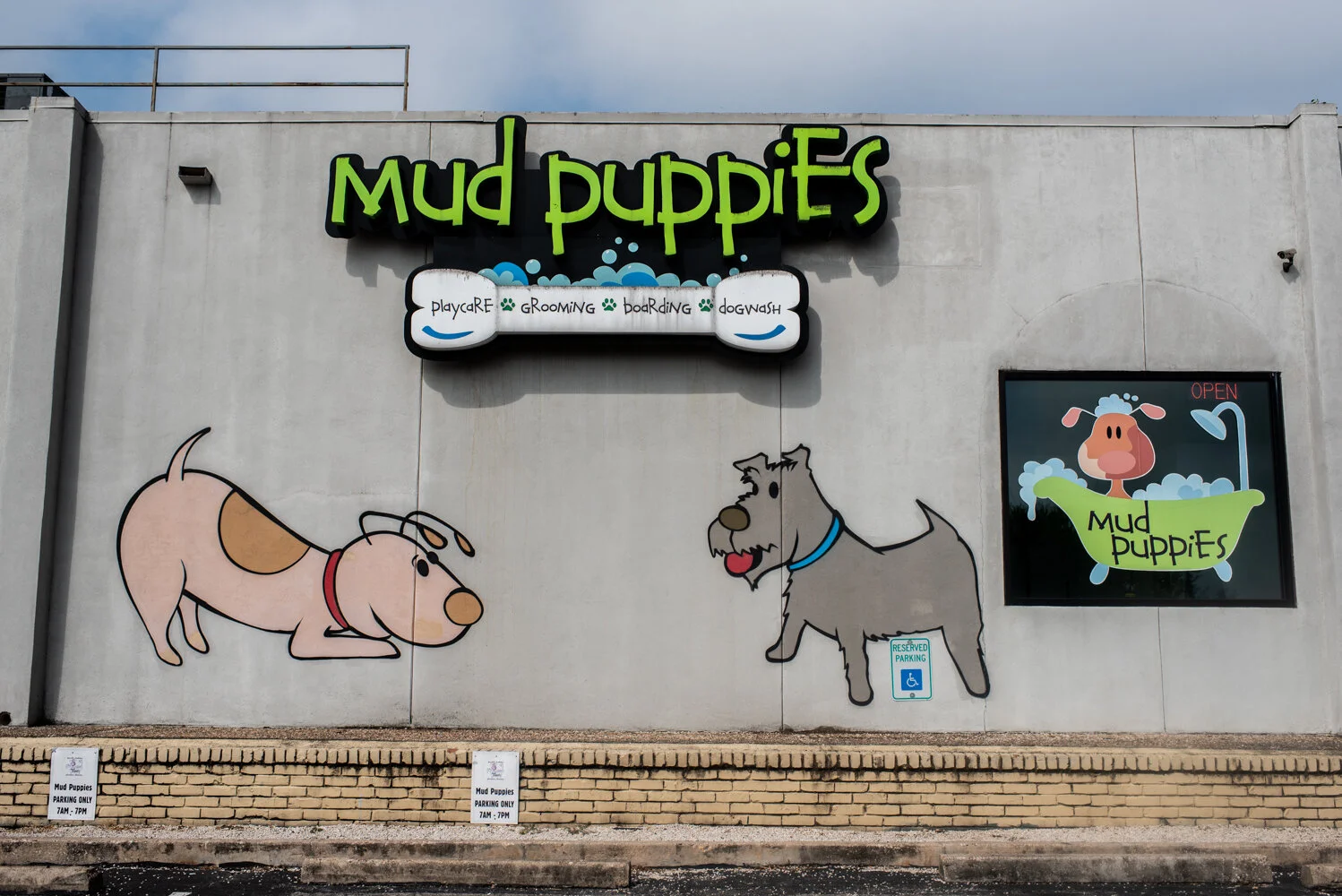 Mud Puppies