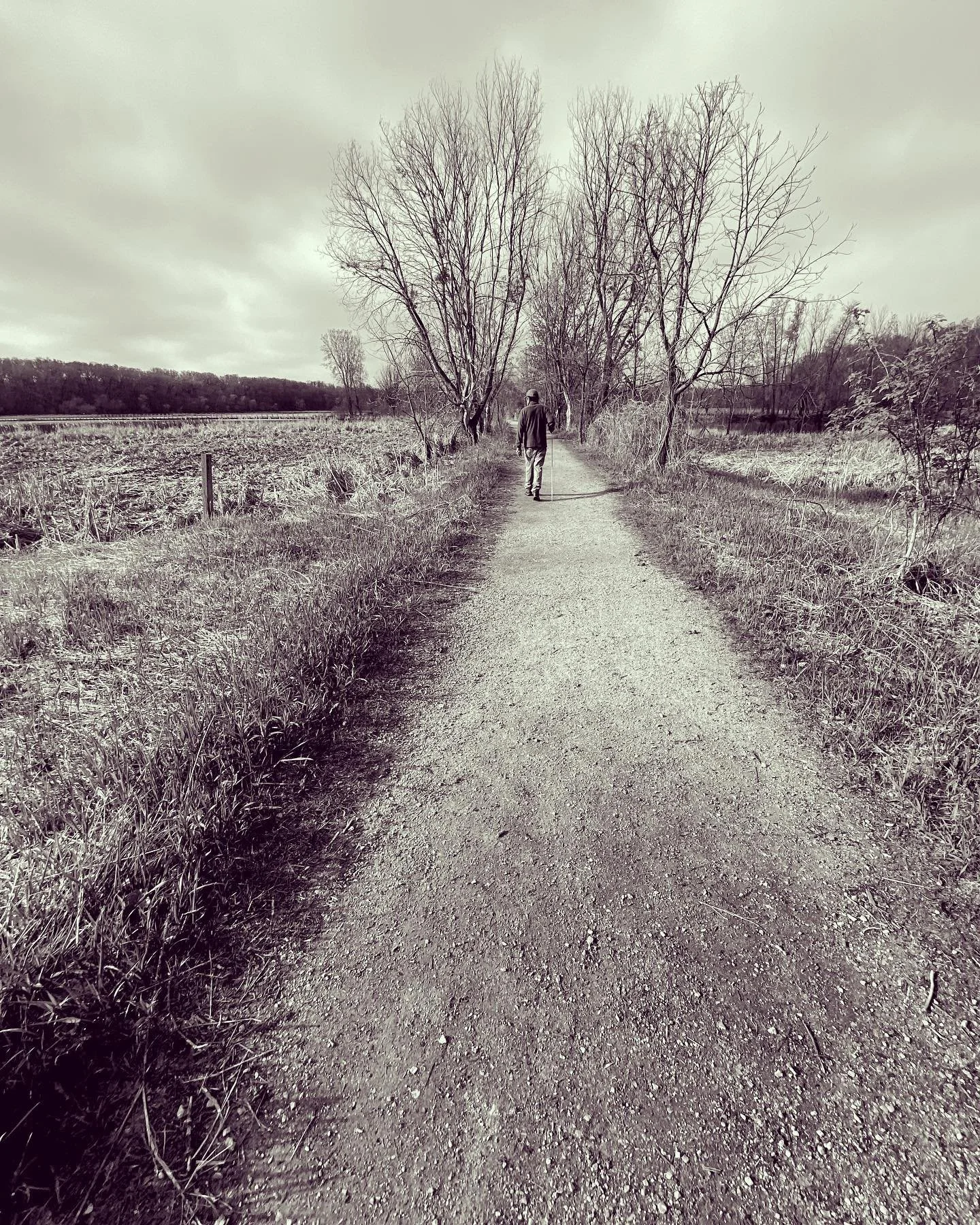 A New Path