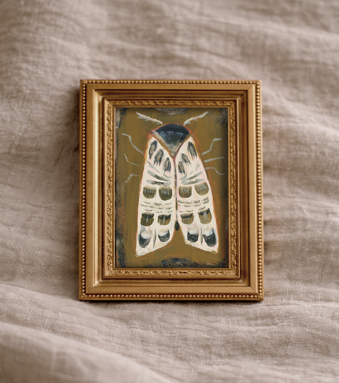 Mini Framed Art  | Transformational Moth
