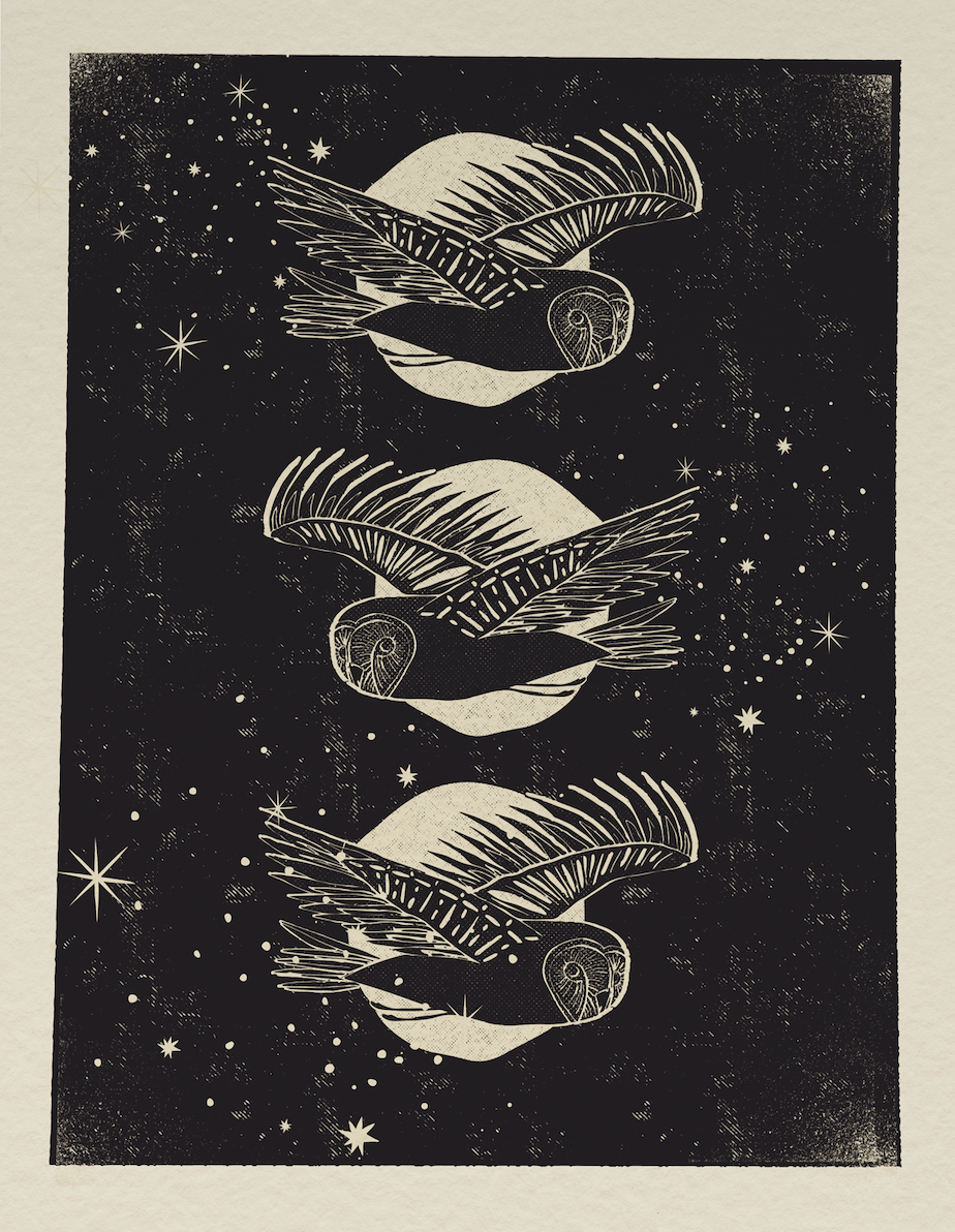 ThreeOwlsBW.png