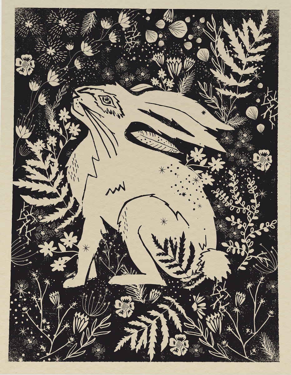 WildHare.Color.png