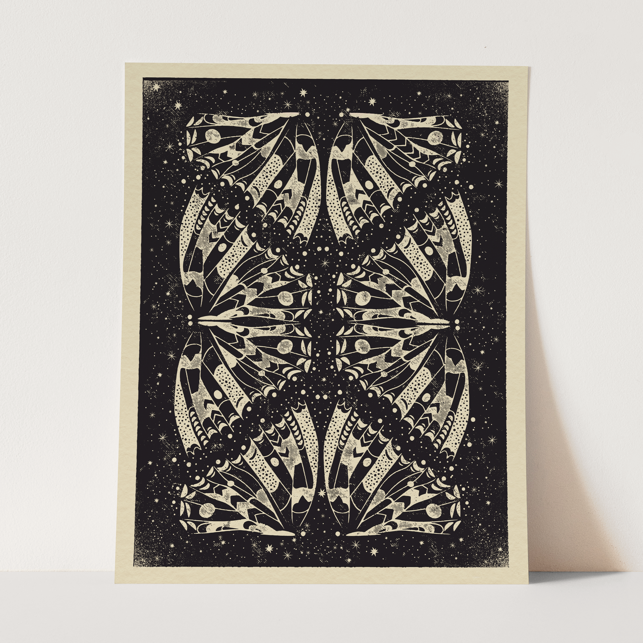 Butterfly - Dark Background