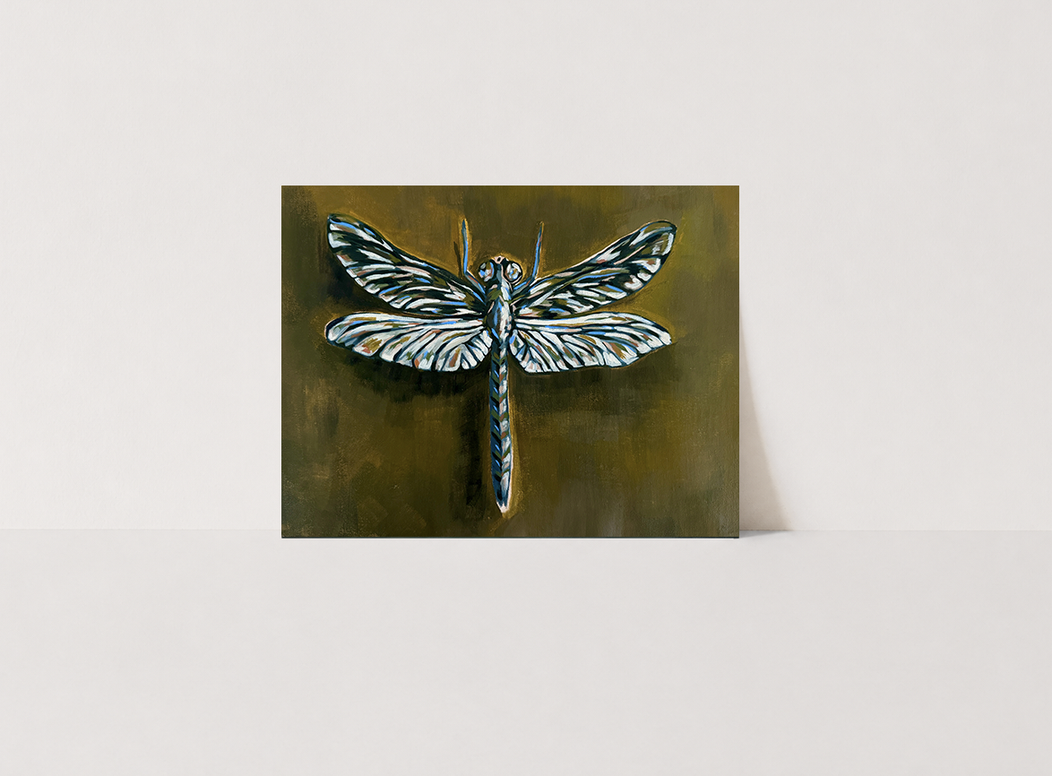NEW! Dragonfly