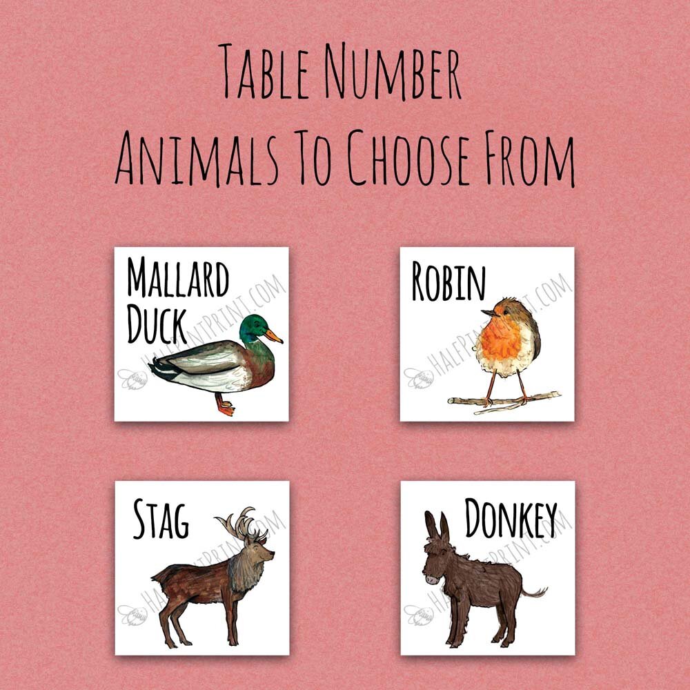 Illustrated Woodland Animal Table Numbers — Half Pint Print
