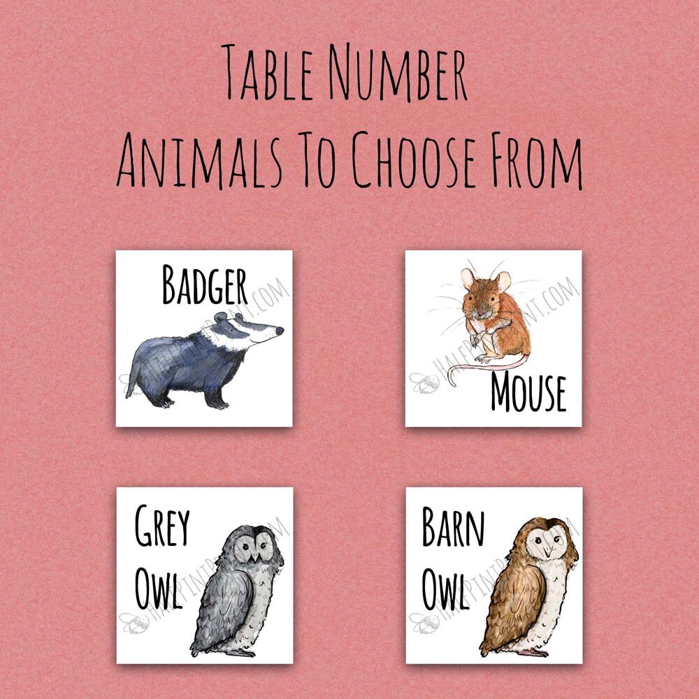 Illustrated Woodland Animal Table Numbers — Half Pint Print