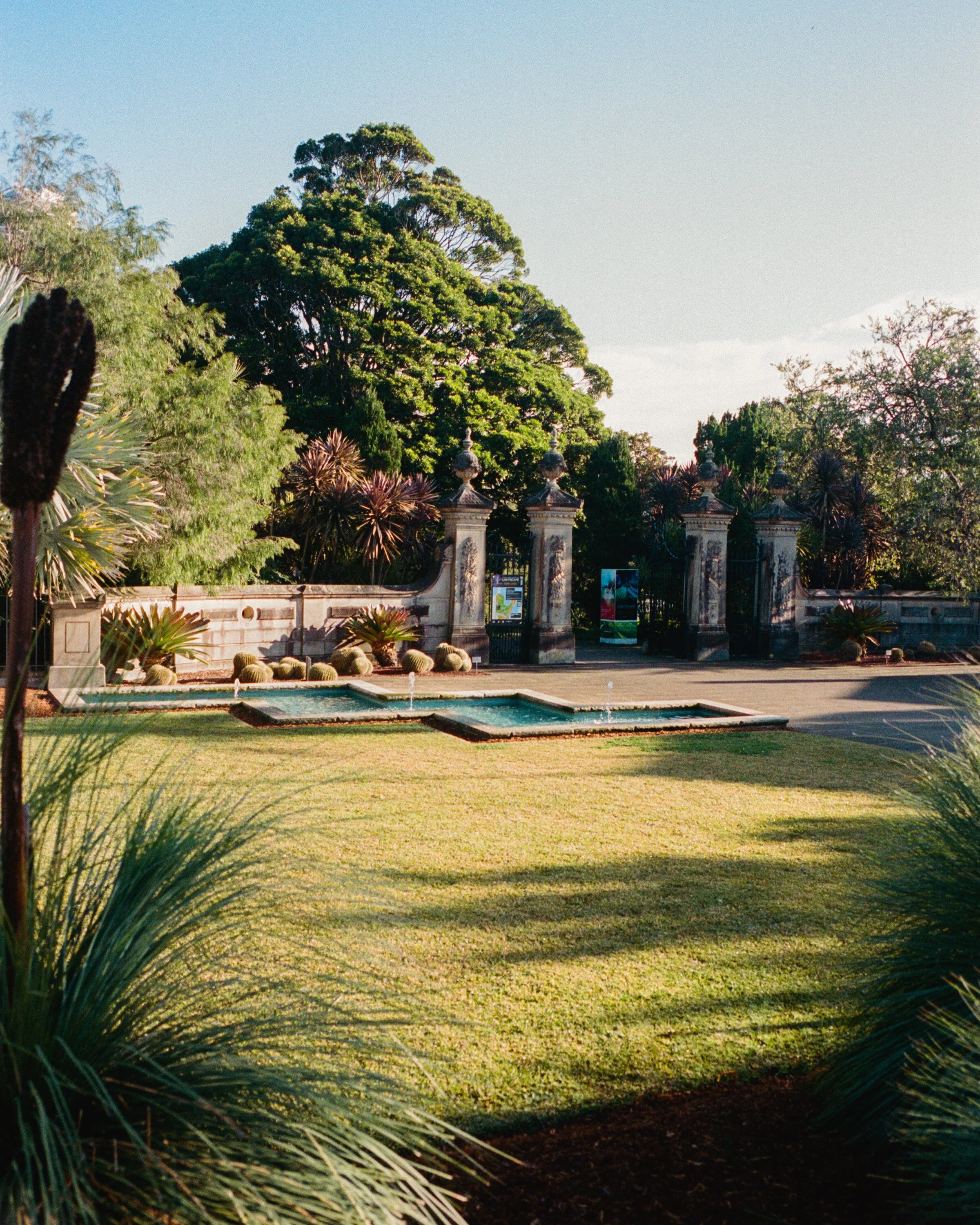 While on a 7am walk in Sydney, Australia