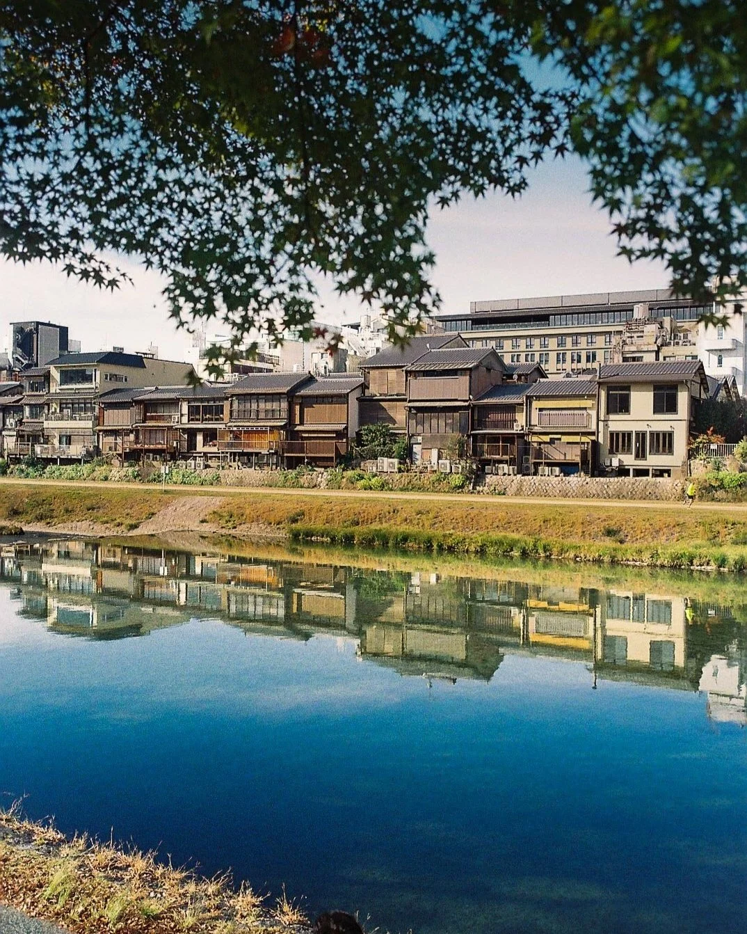 I had to stop and get off my bicycle to admire the beautiful reflections in the water.