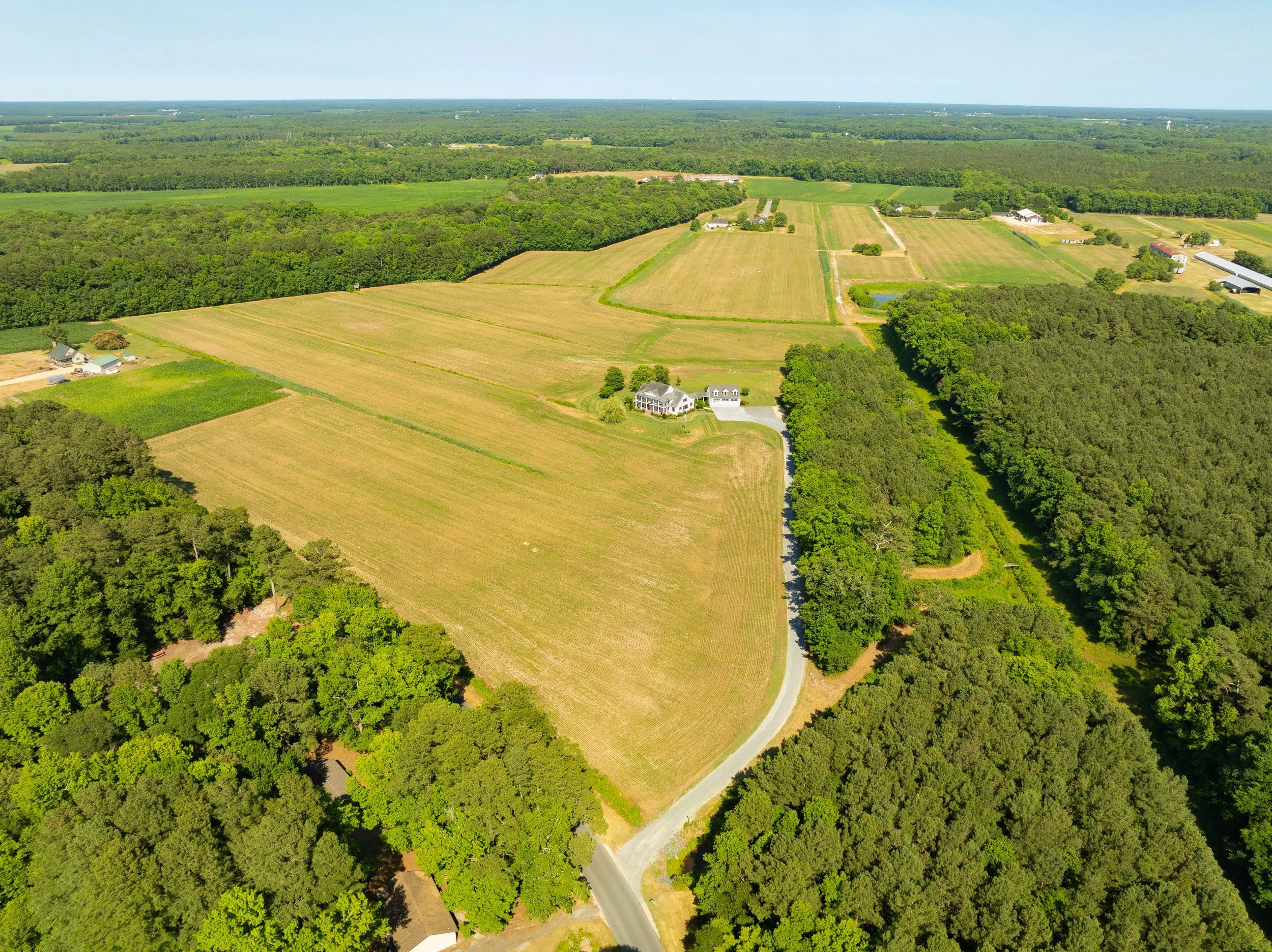 33323 Dagsboro Dr-3.jpg