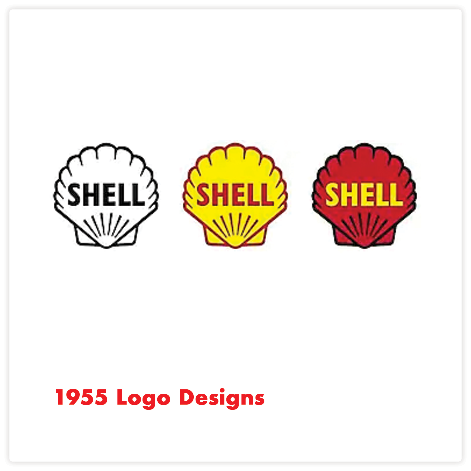 Shell5.png