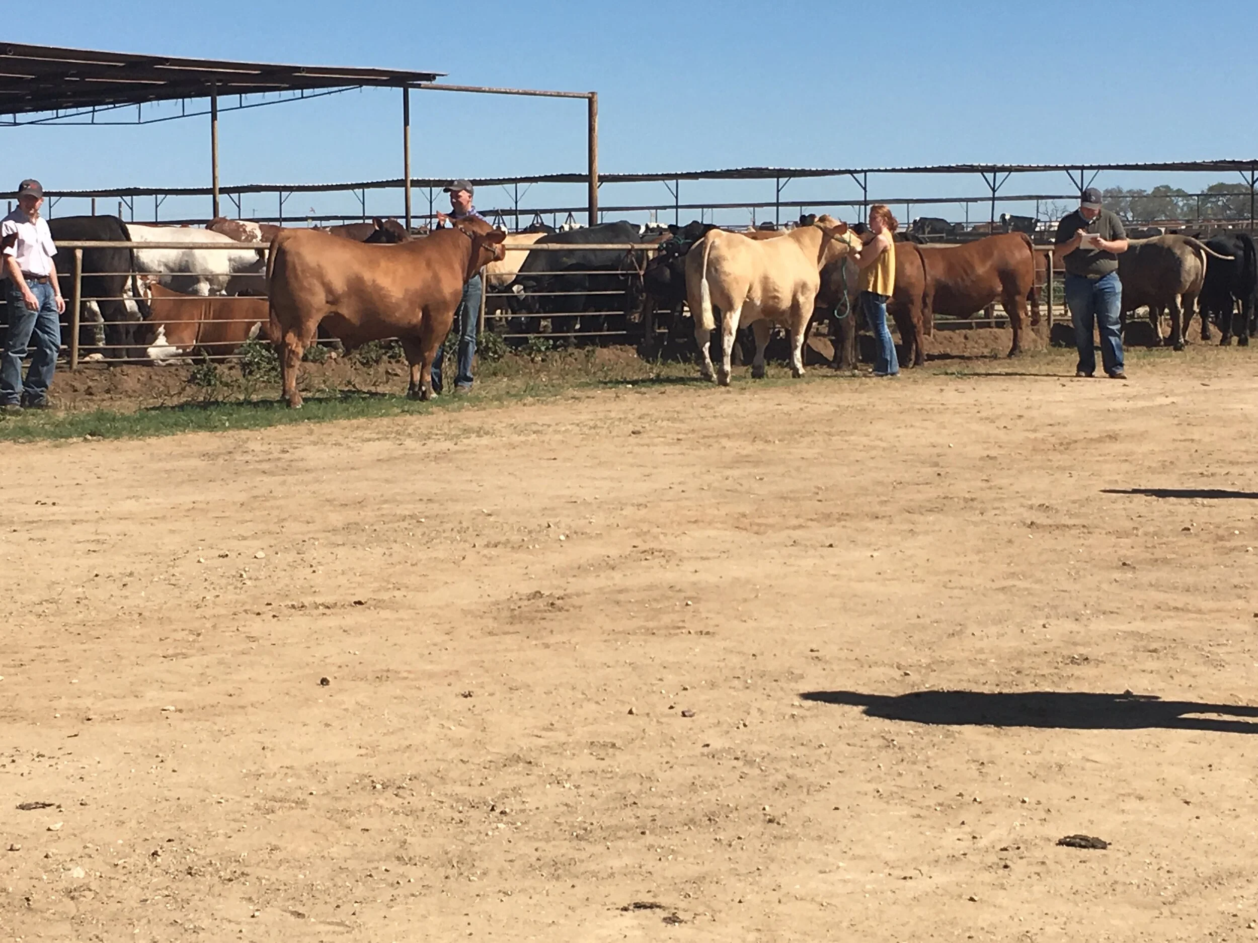 Kelvie Cox - IMG_2546.JPG