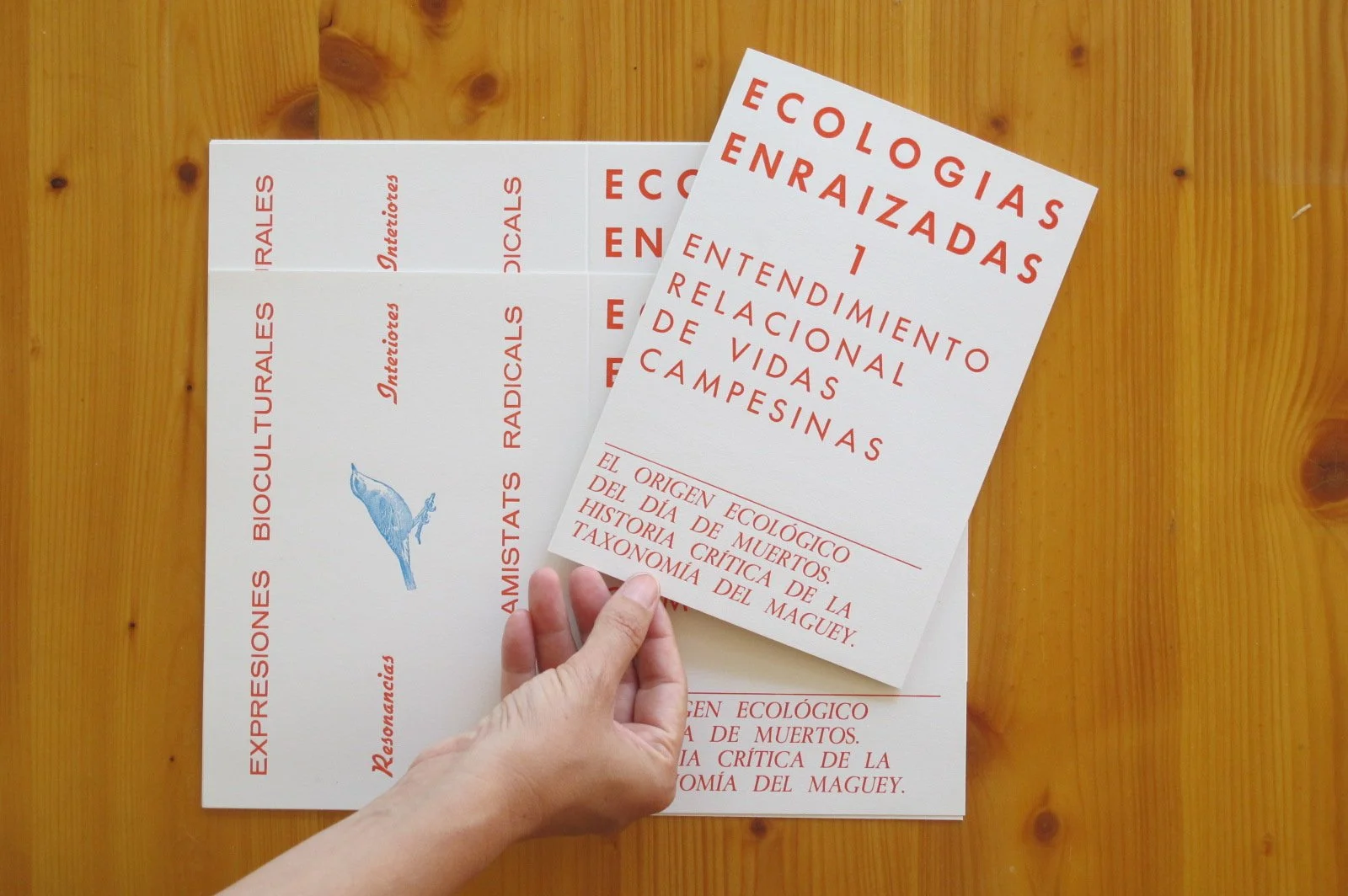 Ecologías enraizadas: Entendimiento relacional de vidas campesinas (vol. 1) — Zine