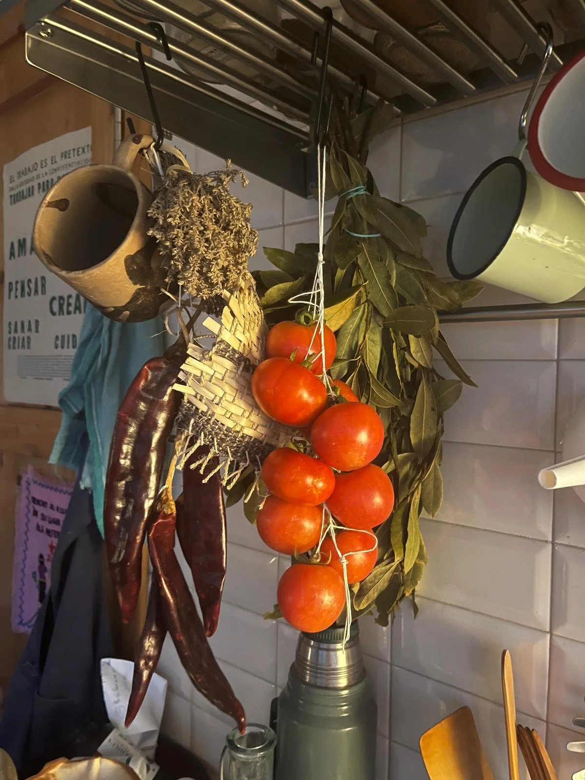 Tomates migrantes: de Anáhuac al Mediterráneo
