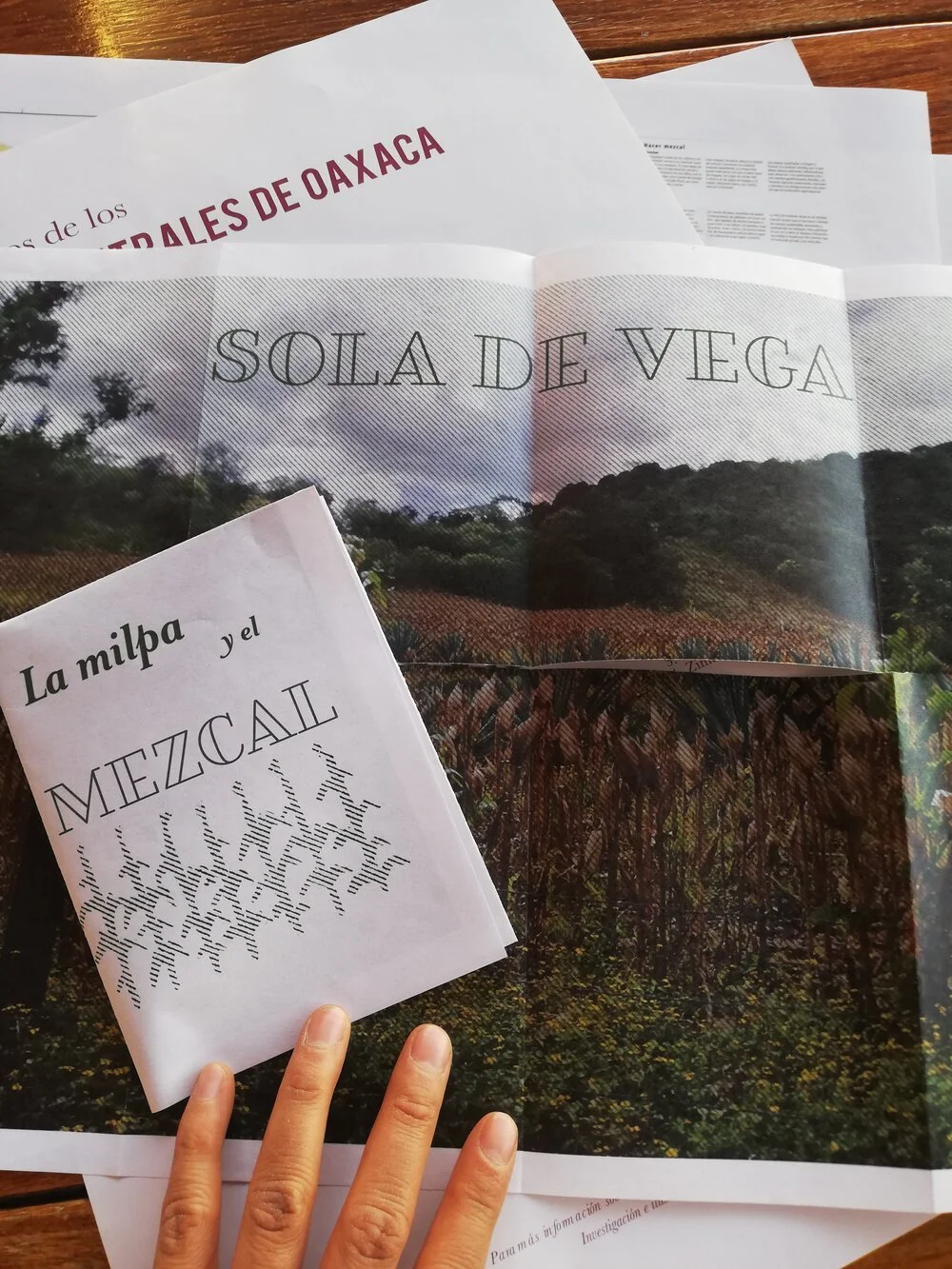La milpa y el mezcal — Fanzine