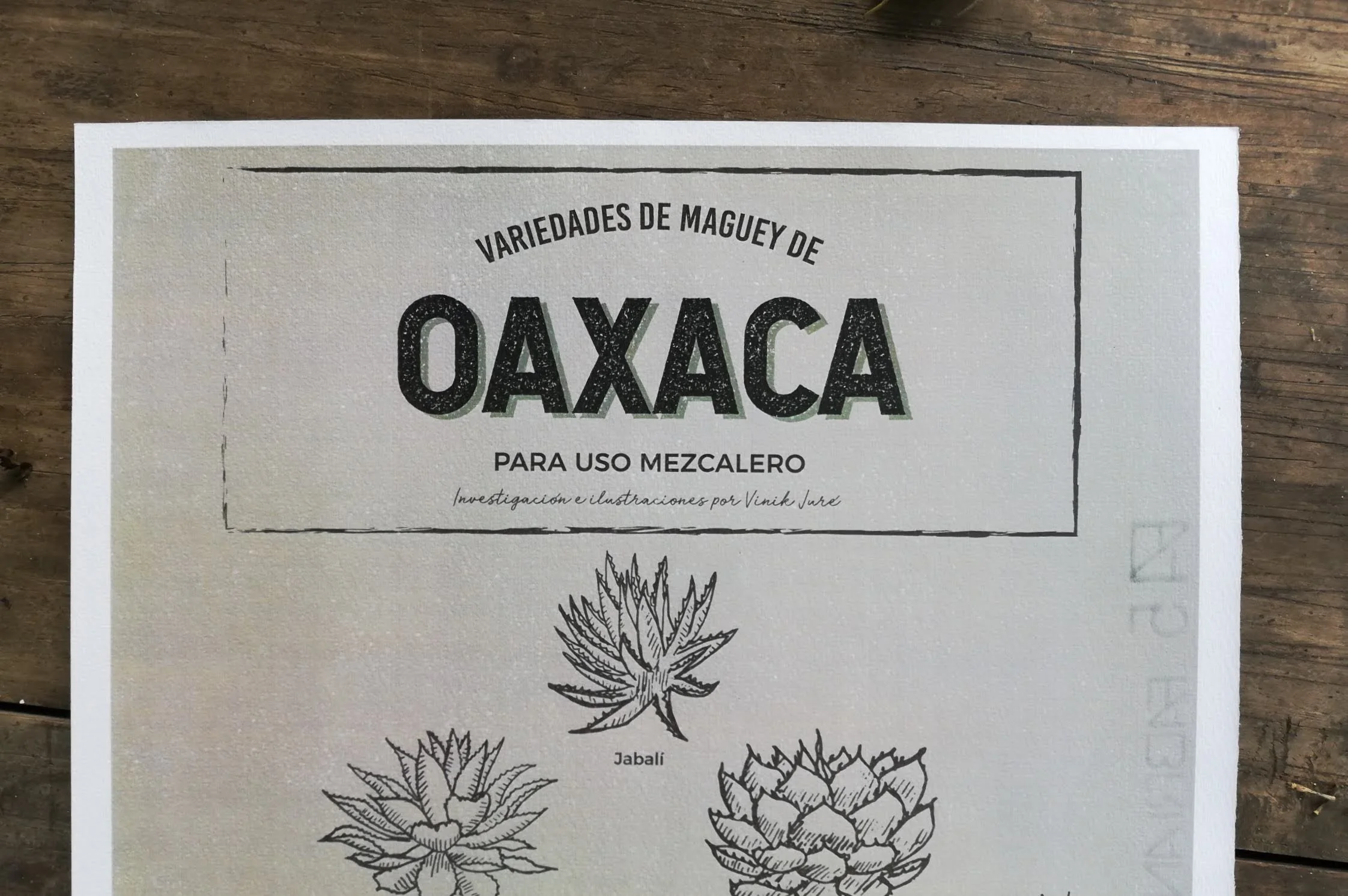 Cartel de Magueyes
