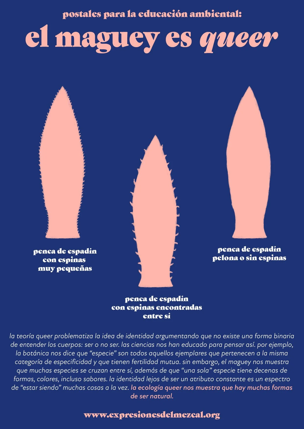 maguey queer2.jpg