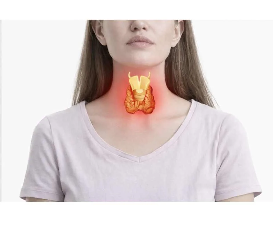 Thyroid Health &amp; Hormone Balance: A Functional Medicine Perspective