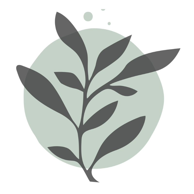 Denver Sports and Holistic Medicine