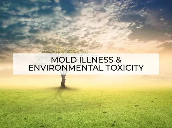 Mold illness and environmental toxicity support using integrative and functional medicine.
