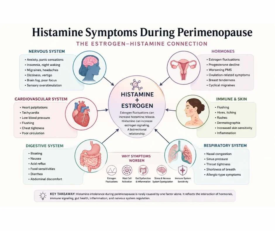 Diagram illustrating how histamine intolerance during perimenopause may affect the nervous system, hormones, digestion, skin, inflammation, sleep, and cardiovascular function through the estrogen-histamine connection.