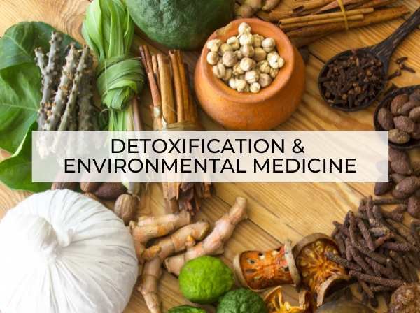 Detoxification and environmental medicine for mold, mycotoxins, lyme disease, and heavy metals in Denver