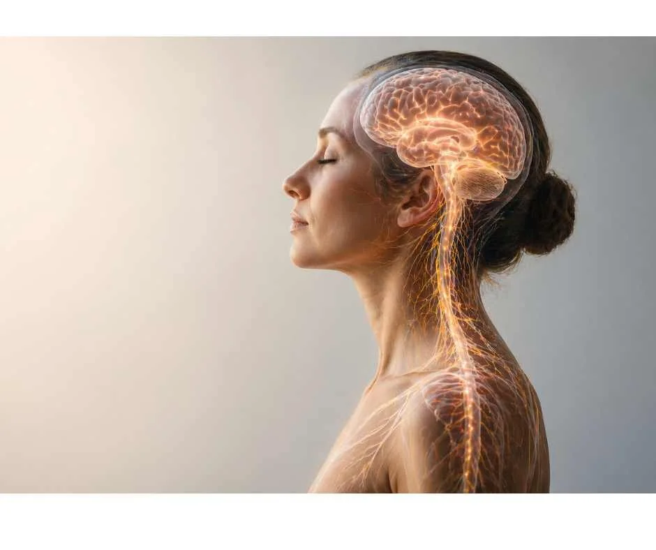 Human side profile showing brain activity and nervous system pathways during smoking cessation and nicotine withdrawal
