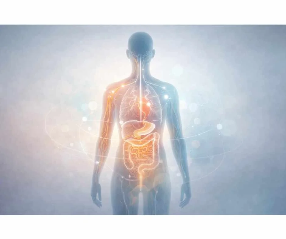 Abstract illustration representing internal physiologic regulation involved in weight loss resistance