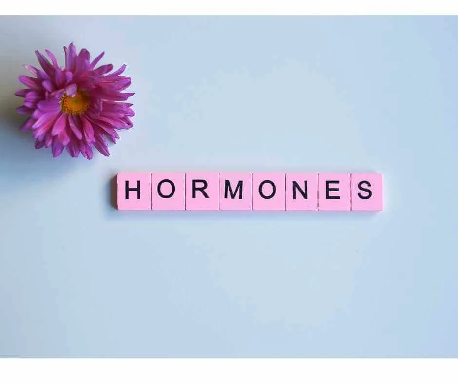 Bioidentical hormone replacement therapy for menopause and perimenopause explained