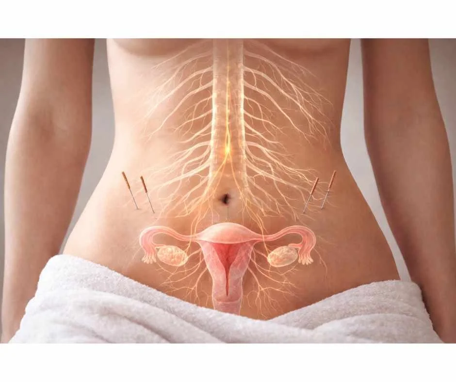 Acupuncture treatment supporting hormonal regulation and ovulation signaling in women with PCOS