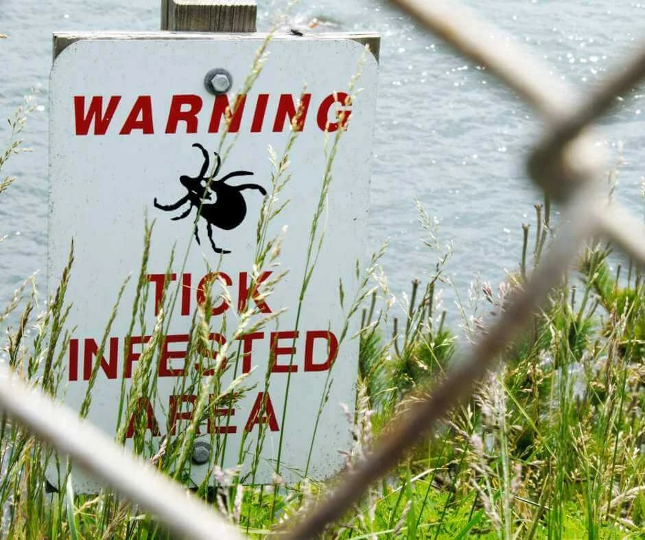 A warning sign reading “Tick Infested Area” with an image of a tick, surrounded by tall grass near a body of water. The sign highlights Lyme disease risk in outdoor environments.