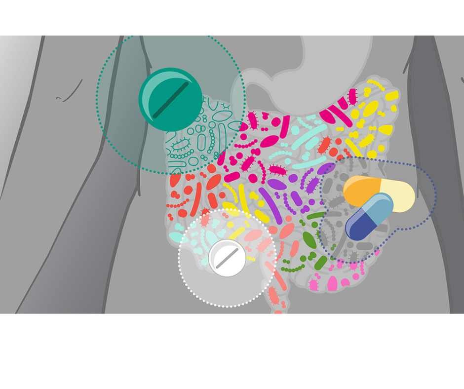 Illustration showing how PPIs, antibiotics, hormonal birth control, and NSAIDs disrupt gut integrity, nutrient absorption, microbiome balance, and hormone regulation