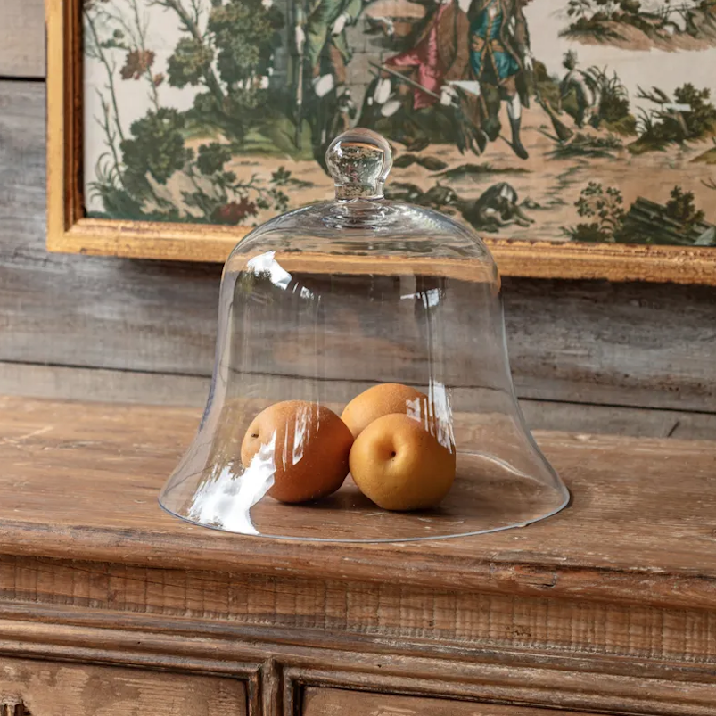 MEDIUM GLASS BELL JAR GARDEN CLOCHE.png