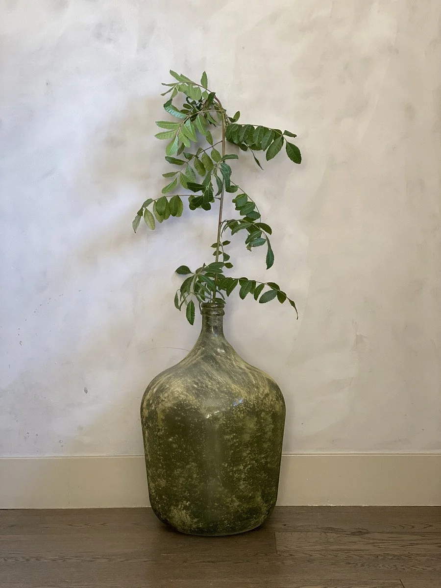 image-4.jpg