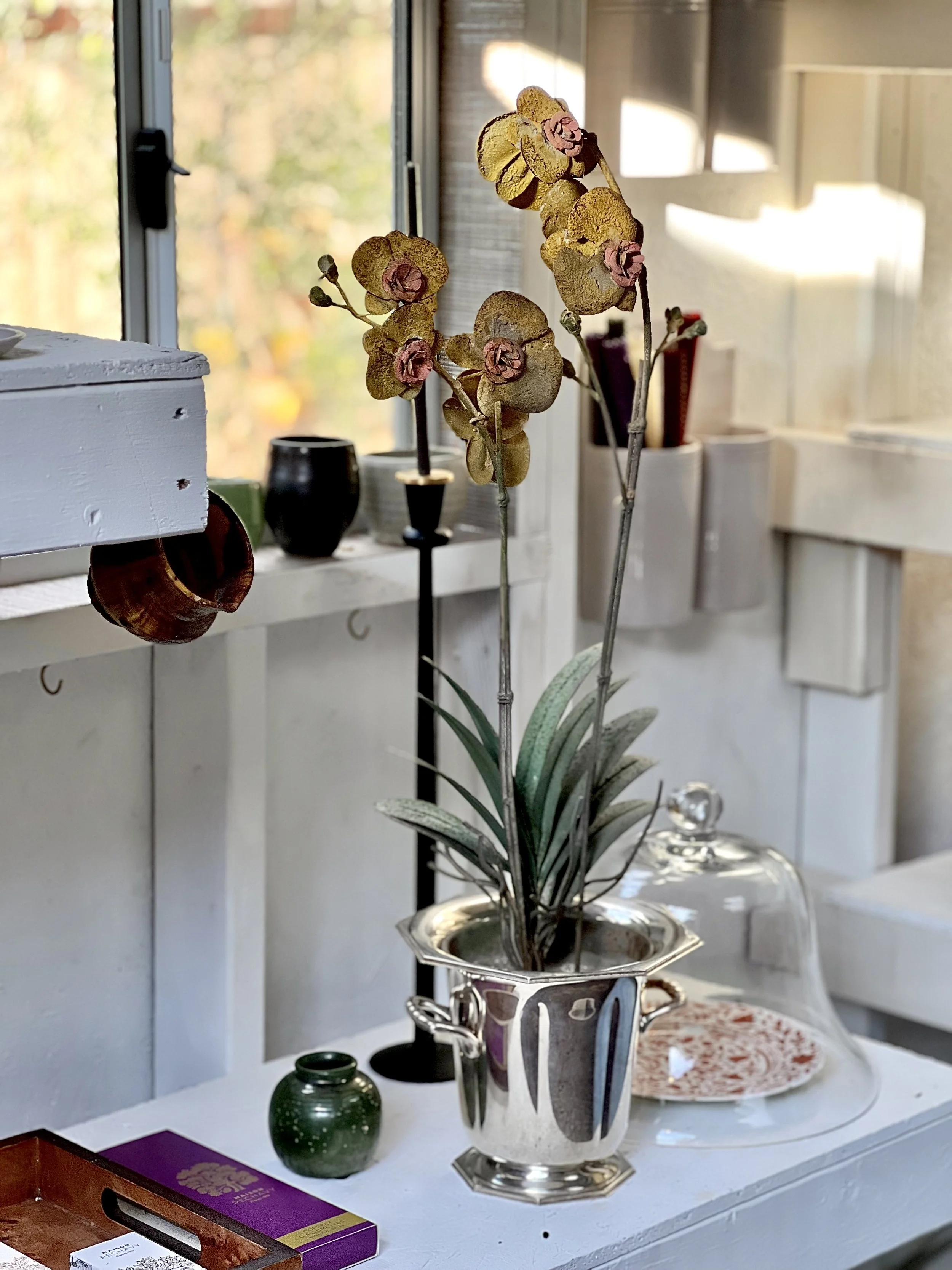orchid.jpg
