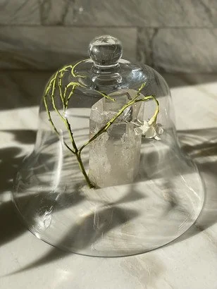 image (1).jpg