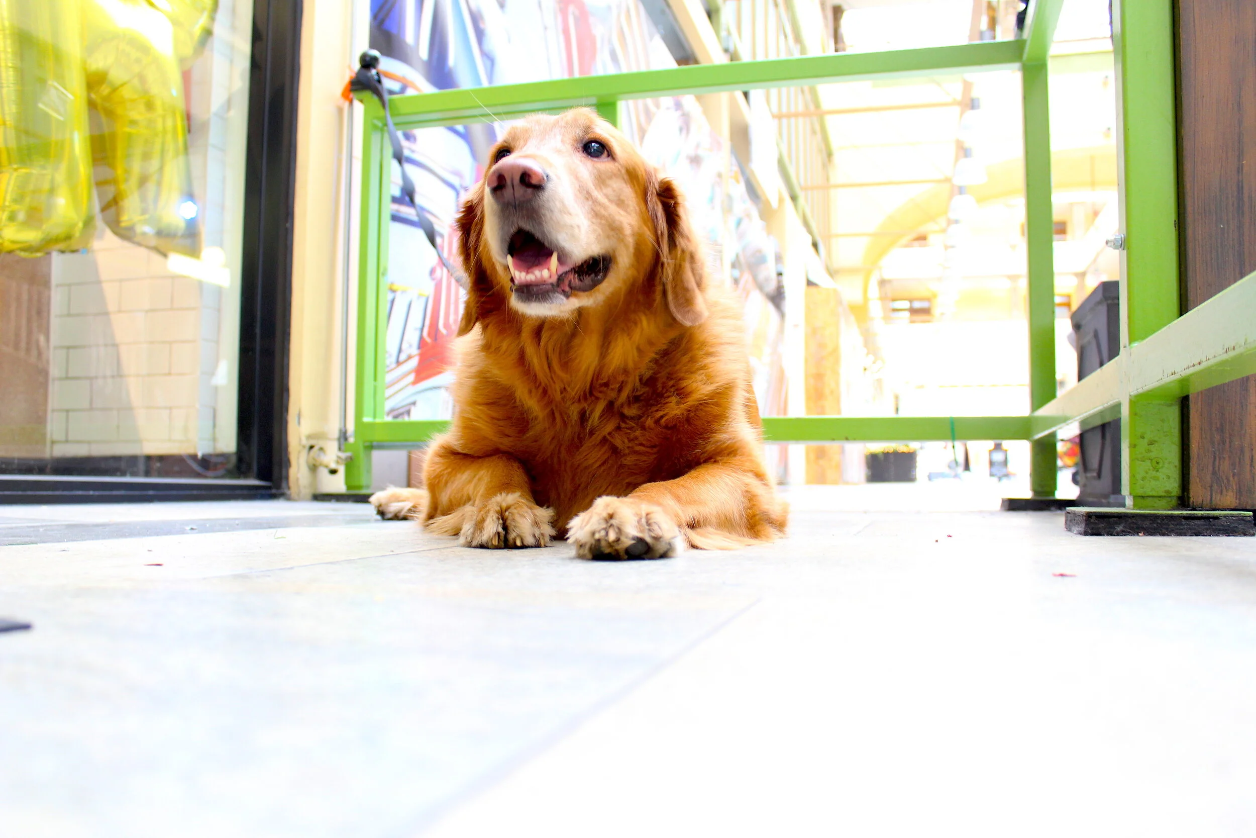 Bobby McGowan #photographer #stuntdriver #videographer #saucedistrict #blogger #fashion #bobbymcgowan street photography Jaded LA #jadedla #flowers #food