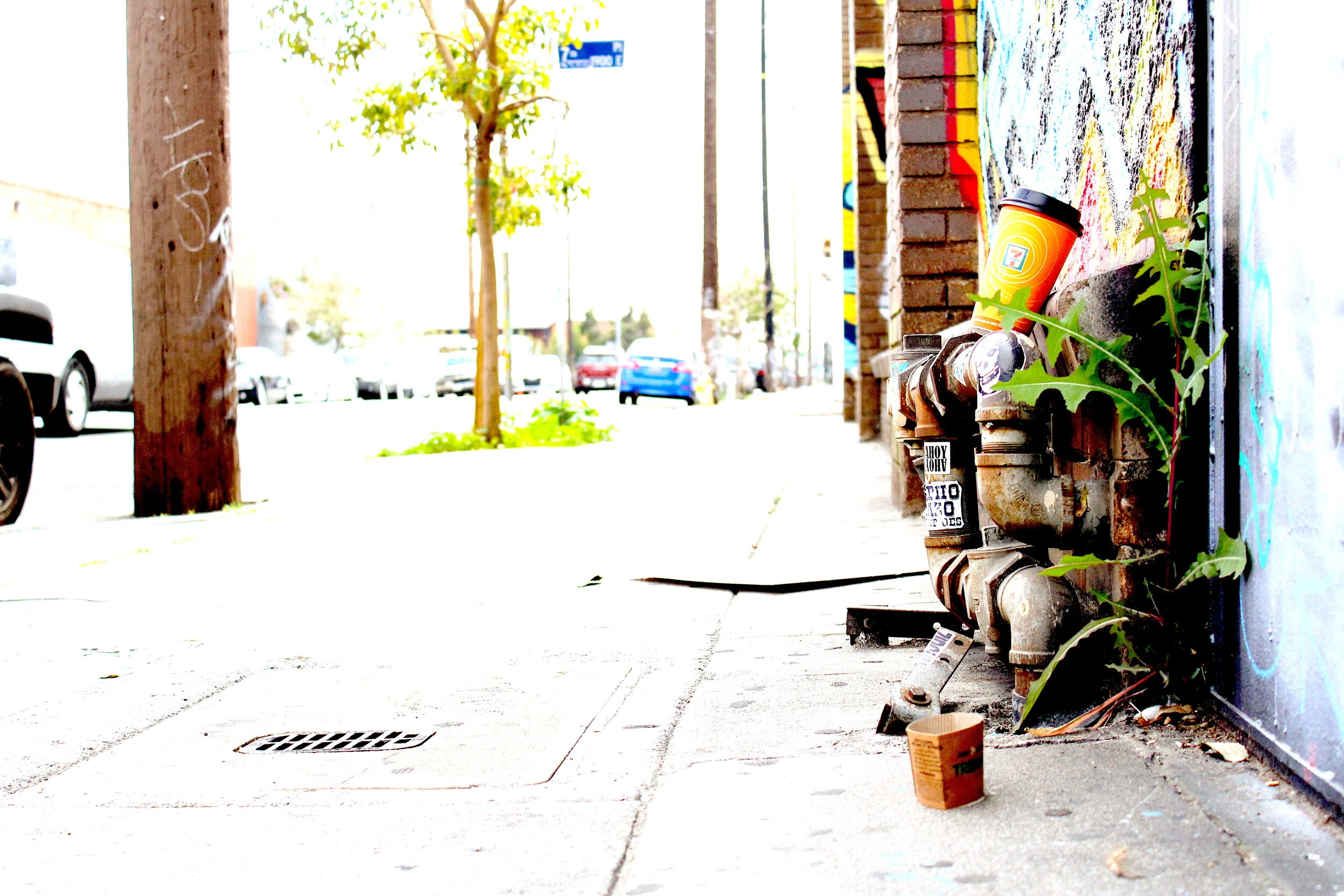 Bobby McGowan #photographer #stuntdriver #videographer #saucedistrict #blogger #fashion #bobbymcgowan street photography Jaded LA #jadedla #flowers #food